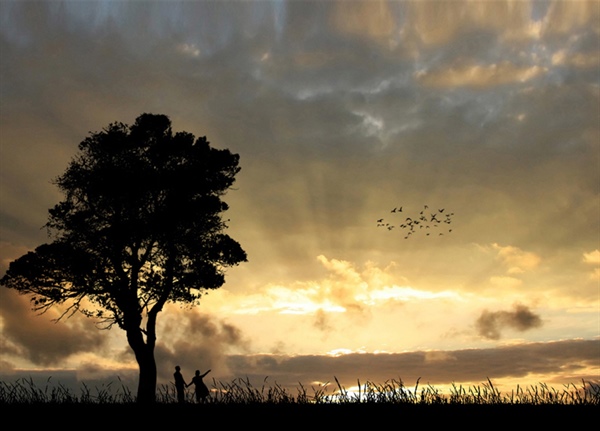 Allow the Spirit to Renew Us