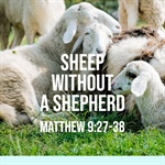Sheep Without a Shepherd