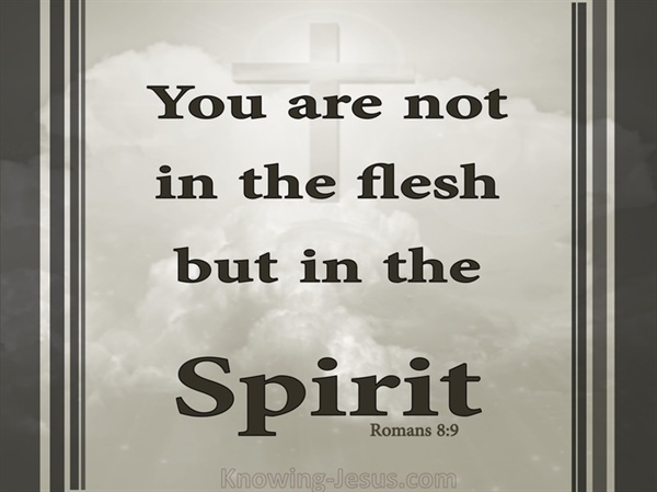 Life in the Spirit