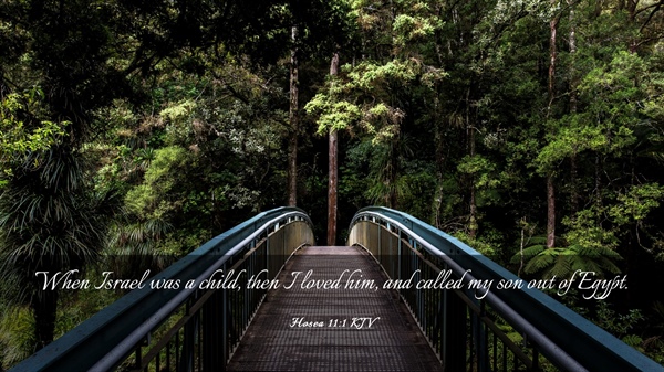 A Father's Love