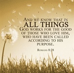 God Shapes Through the Good and the Bad