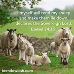 I Myself Will Shepherd My Sheep