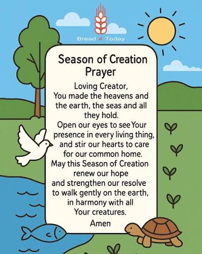 Honoring the Dignity of All of Creation