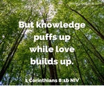 The Work of Love
