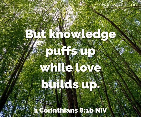 The Work of Love