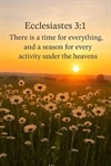 For Everything There is a Season