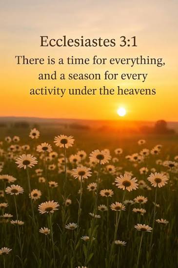 For Everything There is a Season