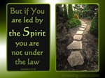 Guided by the Spirit