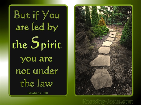 Guided by the Spirit