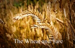 Who Is Wheat; Who is Weeds