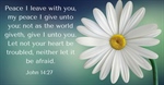 The Peace of Christ