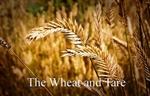 Weeds and Wheat