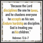 The Concept of Discipline in the Letter to the Hebrews