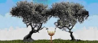 Olive Trees and Lampstands