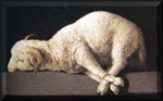 Passover Lamb and Paschal Lamb