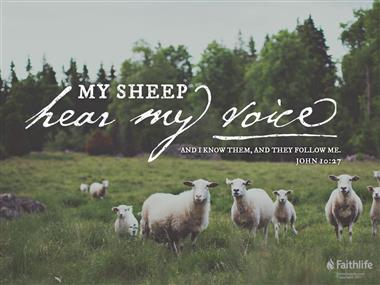 I AM the Noble Shepherd